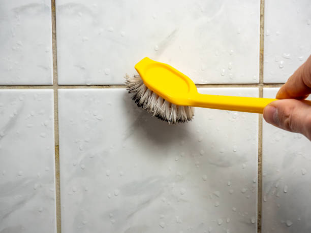 Best Home Mold Removal  in Rogers, AR